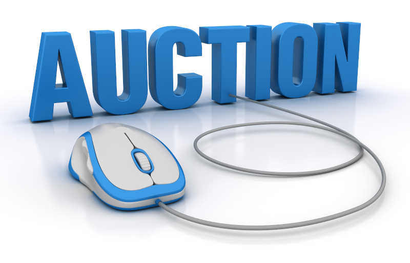 Hyde Mountain Online Auction